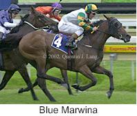r1bluemarwina.jpg (10398 bytes)