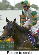 r1rtosc.jpg (9189 bytes)