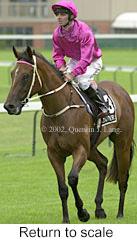 r2rtosc.jpg (9809 bytes)