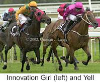 r2yell2.jpg (11503 bytes)