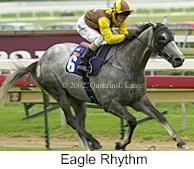 r3eaglerhythm2.jpg (10208 bytes)