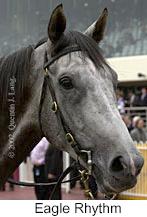 r3eaglerhythm3.jpg (8563 bytes)