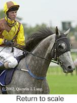 r3rtosc.jpg (8002 bytes)