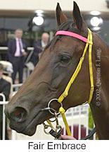 r4fairembrace3.jpg (9468 bytes)