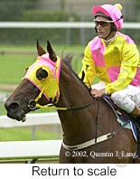 r4rtosc.jpg (9335 bytes)