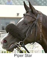 r5piperstar3.jpg (8090 bytes)