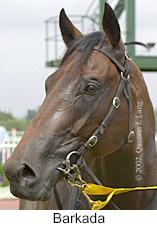 r6barkada2.jpg (8503 bytes)