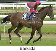 r6barkada3.jpg (10021 bytes)