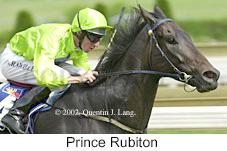 r7princerubiton.jpg (9746 bytes)