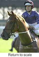 r8rtosc.jpg (9220 bytes)