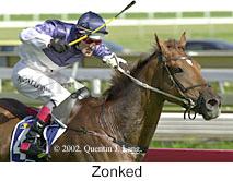 r8zonked.jpg (10702 bytes)