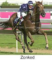 r8zonked2.jpg (10365 bytes)