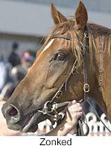 r8zonked3.jpg (9091 bytes)