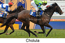 Cholula (14772 bytes)