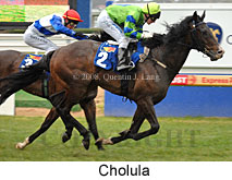 Cholula (14772 bytes)