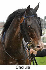 Cholula (14772 bytes)