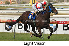 Light Vision (14772 bytes)