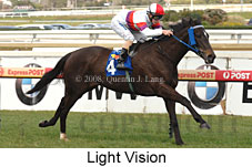 Light Vision (14772 bytes)