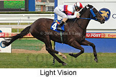 Light Vision (14772 bytes)