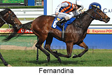 Fernandina (14772 bytes)