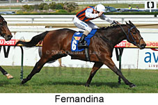 Fernandina (14772 bytes)