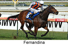 Fernandina (14772 bytes)