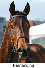 Fernandina (14772 bytes)