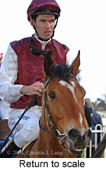 Return to scale (14008 bytes)