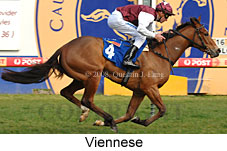 Viennese (14772 bytes)