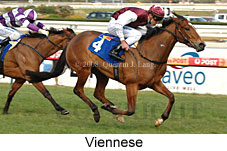 Viennese (14772 bytes)