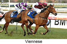 Viennese (14772 bytes)