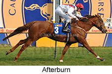 Afterburn (14772 bytes)