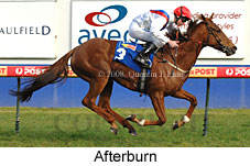 Afterburn (14772 bytes)