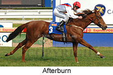 Afterburn (14772 bytes)