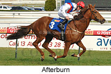 Afterburn (14772 bytes)