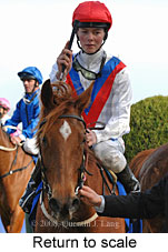 Return to scale (14008 bytes)