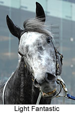 Light Fantastic (14772 bytes)