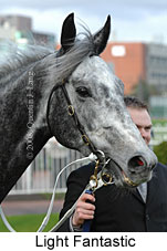 Light Fantastic (14772 bytes)