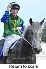 Return to scale (14008 bytes)