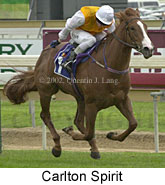 r1carltonspirit.jpg (12271 bytes)
