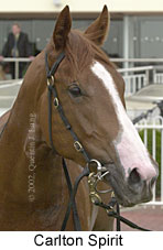 r1carltonspirit2.jpg (11006 bytes)