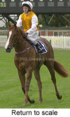 r1rtosc.jpg (12961 bytes)