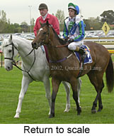 r2rtosc.jpg (12970 bytes)