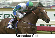 r2scaredeecat.jpg (12173 bytes)