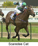 r2scaredeecat2.jpg (13473 bytes)