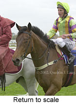 r4rtosc.jpg (12141 bytes)