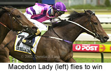 r5finish.jpg (15686 bytes)