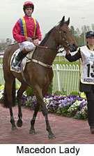 r5macedonlady2.jpg (13354 bytes)