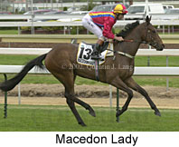 r5macedonlady3.jpg (13385 bytes)