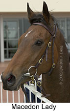 r5macedonlady4.jpg (9965 bytes)